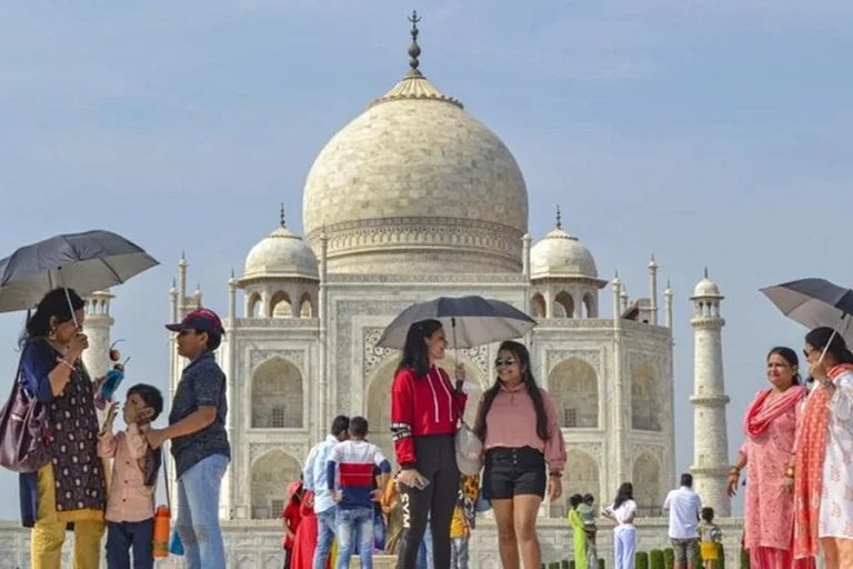 Taj Mahal Tea