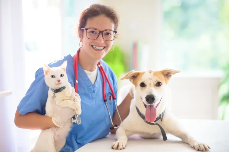 Pet
