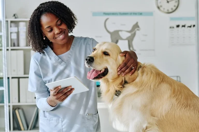 Animal Clinics