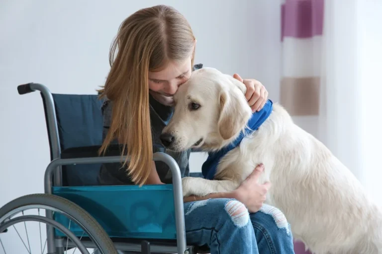 5 Ways Animal Hospitals Support Pets With Special Needs 5 Ways Animal Hospitals Support Pets With Special Needs