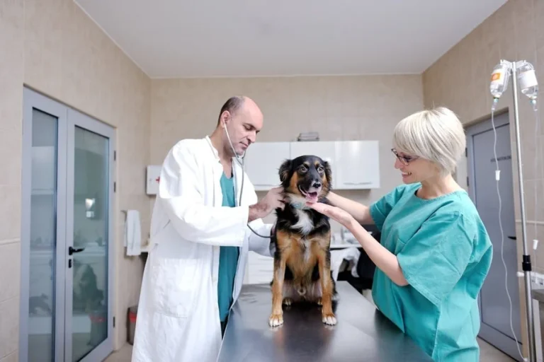 Veterinary